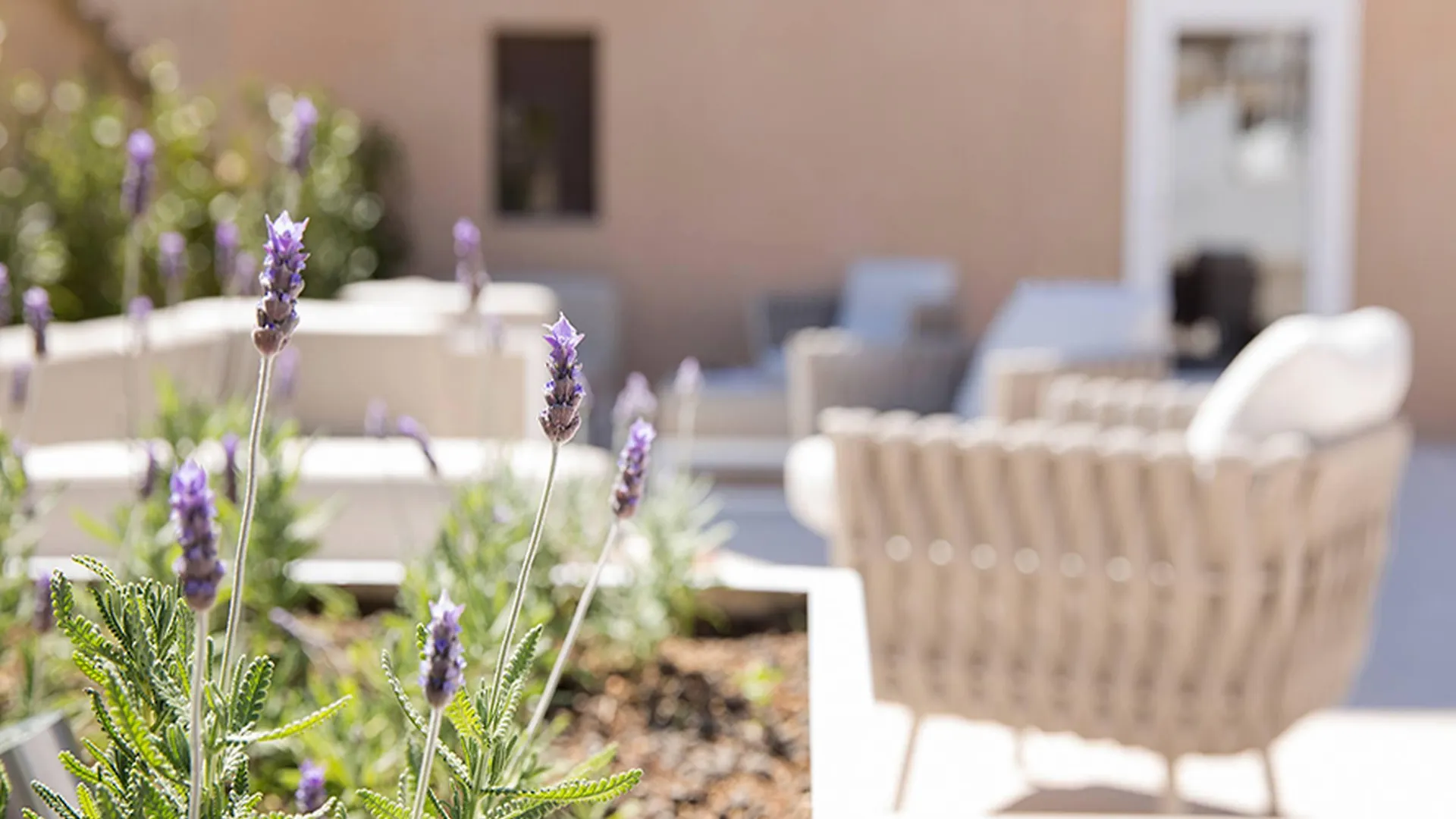 Convent De La Missio - Grand Luxury Boutique Hotel, Adults Only Palma de Mallorca 5*,  Spain